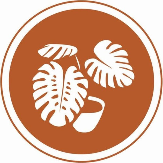 Anthurium  Ragale