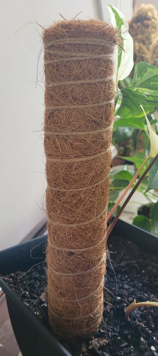 Coir Pole